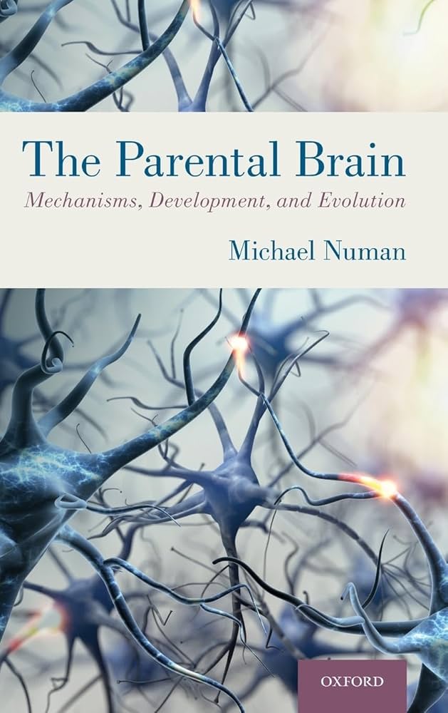 裁断済 The Parental Brain Michael Numan The Parental Brain: Mechanisms, Development, and Evolution